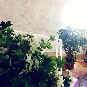 Orchidea By Dimorra , Napoli Italia